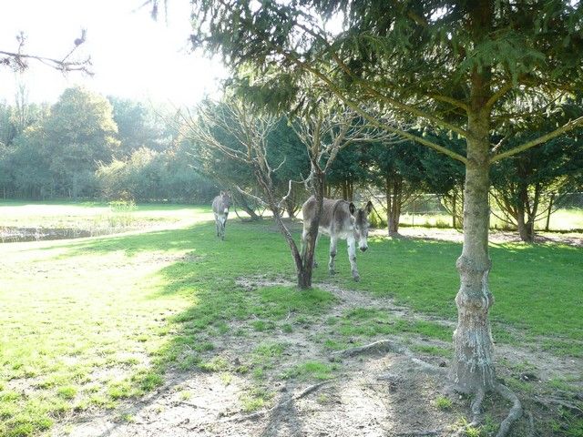 Balthazar et leonard Arrivee (3).jpg